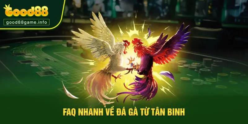 Giải đáp thắc mắc từ người chơi chọi kê