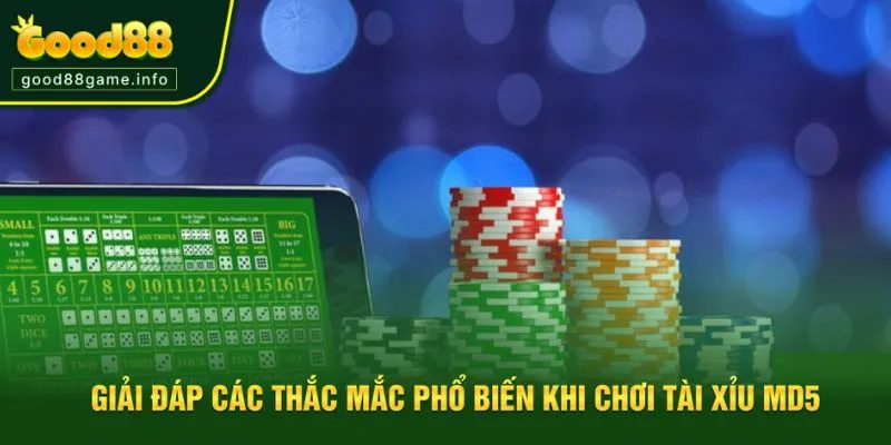 Giải đáp các thắc mắc phổ biến khi chơi tài xỉu MD5