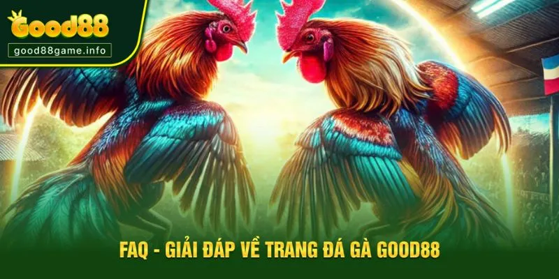 Thắc mắc từ những người chơi về trang đá gà