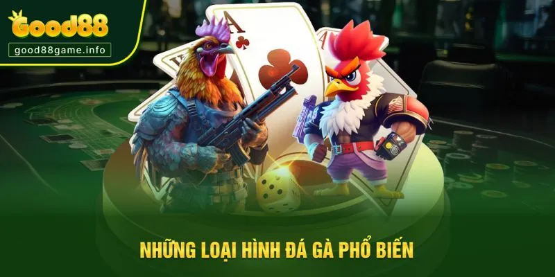 Tìm hiểu các loại hình đá gà tại hệ thống