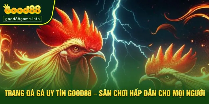 Trang Đá Gà Uy Tín Good88 – Sân Chơi Gà Hấp Dẫn Cho Mọi Người