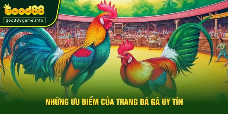 Ưu điểm của trang đá gà uy tín 