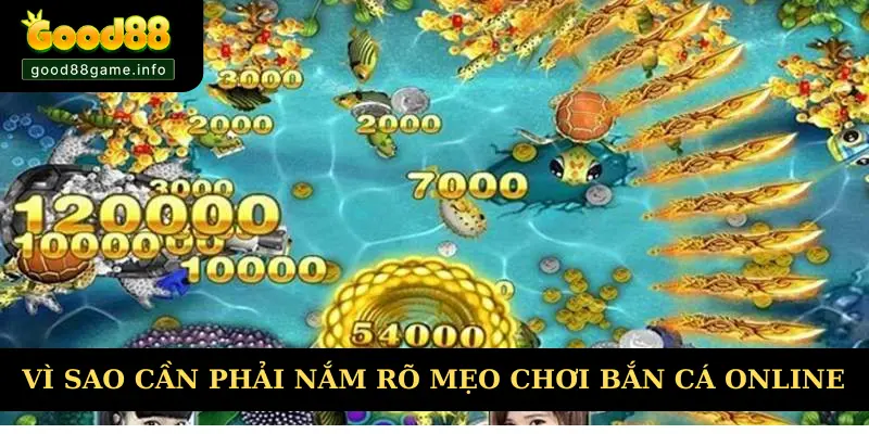 Vì sao cần phải nắm rõ mẹo chơi bắn cá online