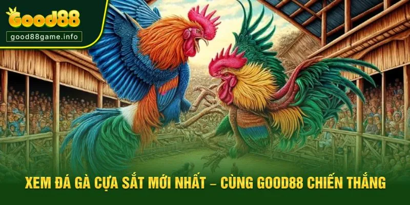 Xem Đá Gà Cựa Sắt Mới Nhất – Trải Nghiệm Cực Nét Cùng Good88